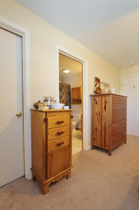 1759 Schubert Dr, Morris, IL 60450 photo 25