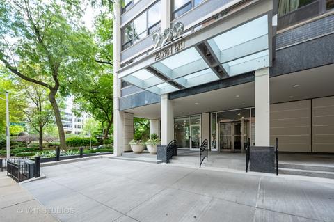 222 E Pearson St #507, Chicago, IL 60611 photo 1