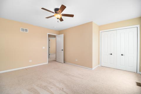 26640 W Red Apple Rd, Plainfield, IL 60585 photo 20