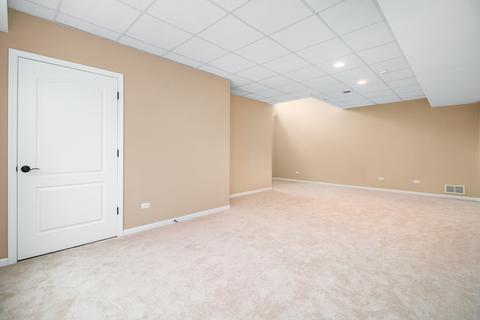 26640 W Red Apple Rd, Plainfield, IL 60585 photo 28