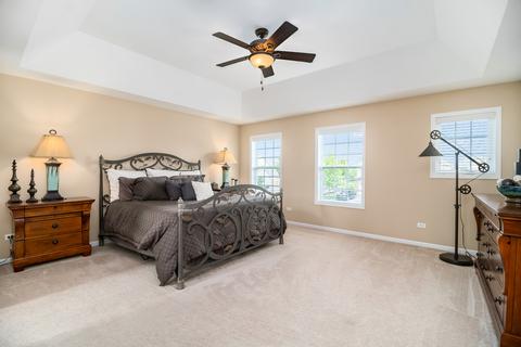 26640 W Red Apple Rd, Plainfield, IL 60585 photo 14