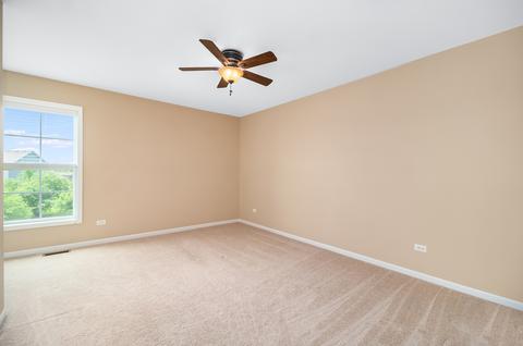 26640 W Red Apple Rd, Plainfield, IL 60585 photo 19