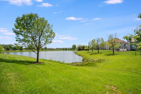 26640 W Red Apple Rd, Plainfield, IL 60585 photo 32