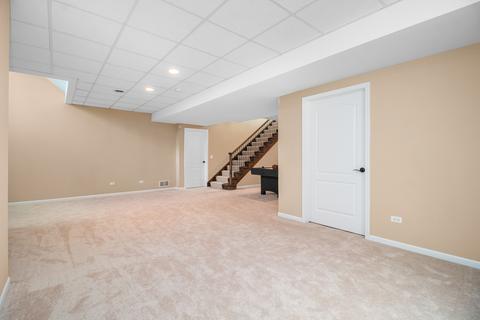 26640 W Red Apple Rd, Plainfield, IL 60585 photo 27