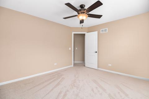 26640 W Red Apple Rd, Plainfield, IL 60585 photo 21