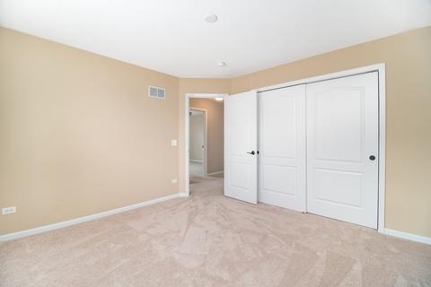 26640 W Red Apple Rd, Plainfield, IL 60585 photo 22