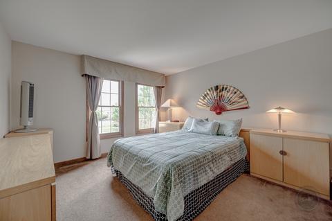 26205 W Milestone Dr, Plainfield, IL 60585 photo 37