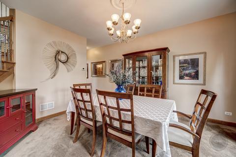 26205 W Milestone Dr, Plainfield, IL 60585 photo 21