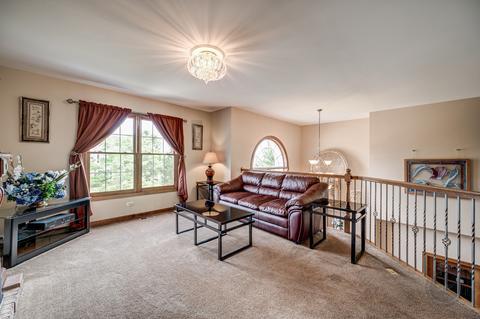 26205 W Milestone Dr, Plainfield, IL 60585 photo 44