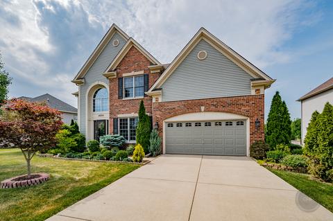 26205 W Milestone Dr, Plainfield, IL 60585 photo 1