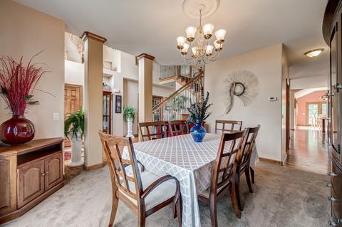 26205 W Milestone Dr, Plainfield, IL 60585 photo 23