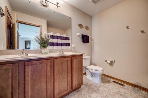26205 W Milestone Dr, Plainfield, IL 60585 photo 40