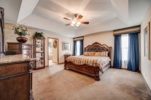 26205 W Milestone Dr, Plainfield, IL 60585 photo 28