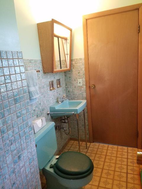 972 N Babbit Ave, Addison, IL 60101 photo 13