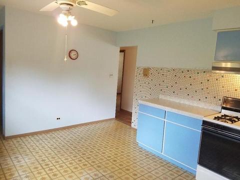 972 N Babbit Ave, Addison, IL 60101 photo 7