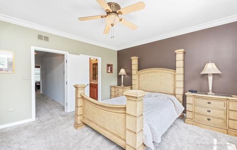 318 E 18th St, Chicago, IL 60616 photo 15