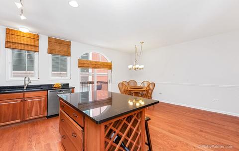 318 E 18th St, Chicago, IL 60616 photo 8