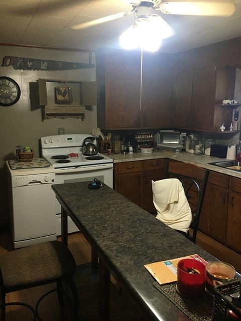 231 W Main St, Buda, IL 61314 photo 3