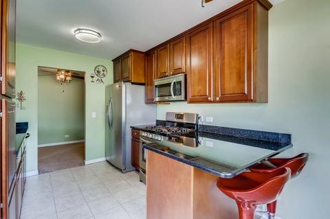 1532 Springview Ct #D1, Wheeling, IL 60090 photo 7