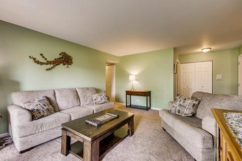 1532 Springview Ct #D1, Wheeling, IL 60090 photo 3