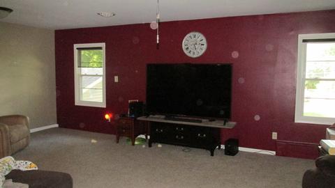 307 W Walnut St, Walnut, IL 61376 photo 4
