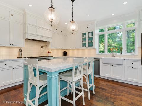 1120 E 50th St, Chicago, IL 60615 photo 13
