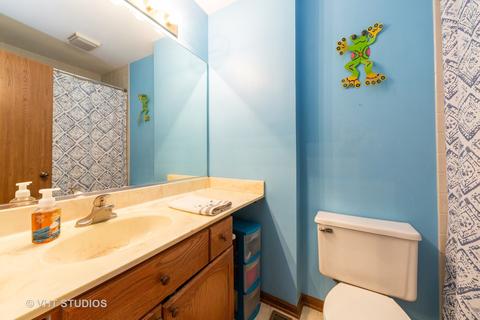 447 Ash Fork Trl, Cary, IL 60013 photo 12