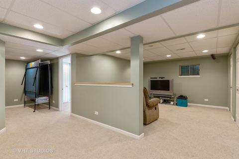 447 Ash Fork Trl, Cary, IL 60013 photo 17