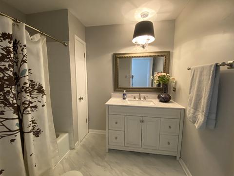 1247 Croydon Ct, Wheaton, IL 60189 photo 24