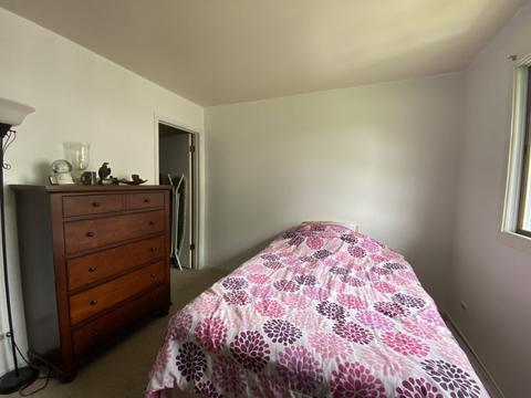1247 Croydon Ct, Wheaton, IL 60189 photo 23
