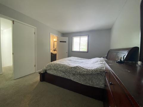 1247 Croydon Ct, Wheaton, IL 60189 photo 17