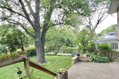 808 S Maple St, Mount Prospect, IL 60056 photo 22
