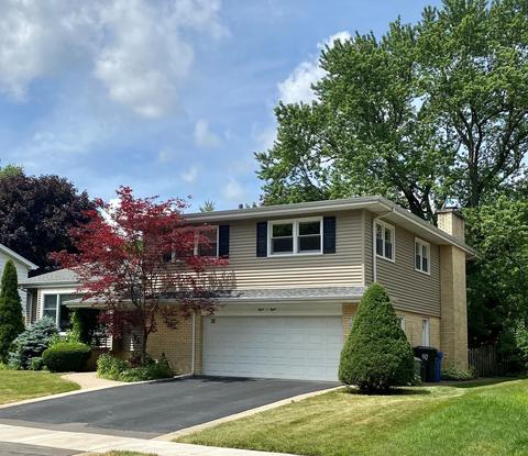 808 S Maple St, Mount Prospect, IL 60056 photo 6
