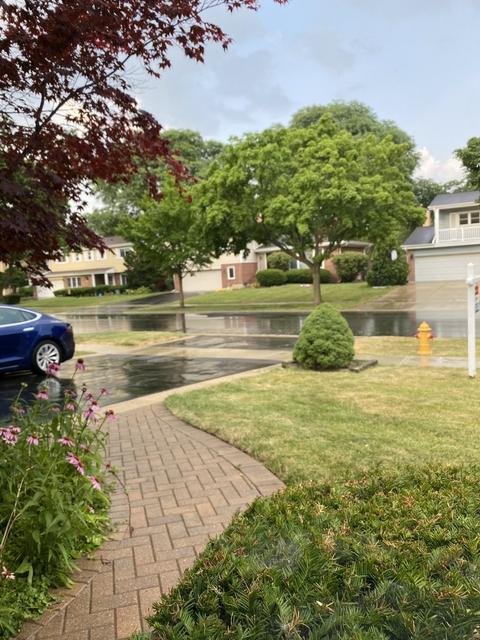 808 S Maple St, Mount Prospect, IL 60056 photo 23
