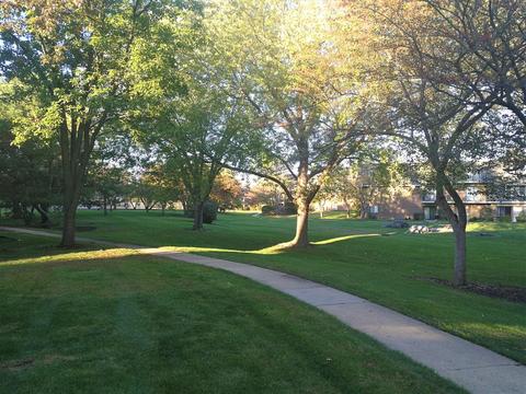 144 E Bailey Rd #C, Naperville, IL 60565 photo 4