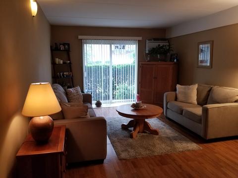 1354 E Washington St #101, Des Plaines, IL 60016 photo 4
