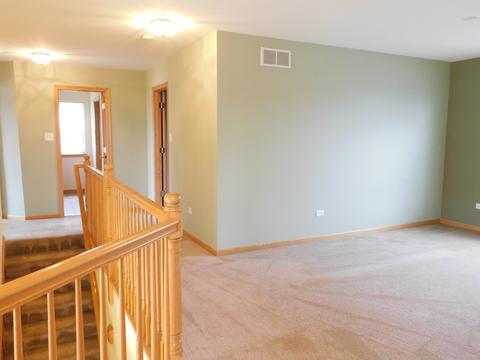 7505 Locust Ln, Plainfield, IL 60586 photo 28