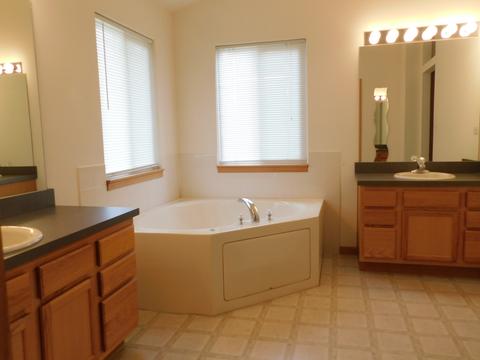 7505 Locust Ln, Plainfield, IL 60586 photo 27