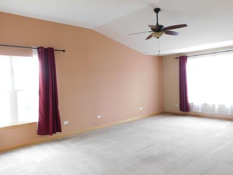 7505 Locust Ln, Plainfield, IL 60586 photo 24