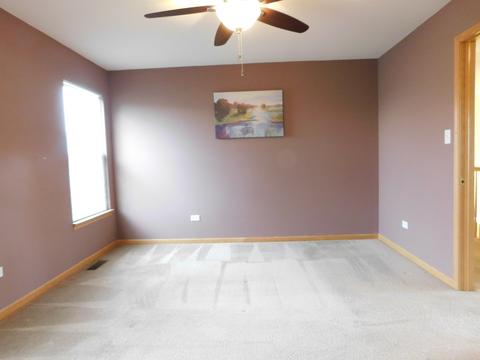 7505 Locust Ln, Plainfield, IL 60586 photo 22