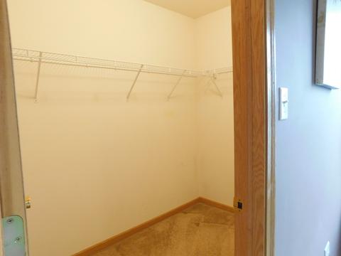 7505 Locust Ln, Plainfield, IL 60586 photo 23