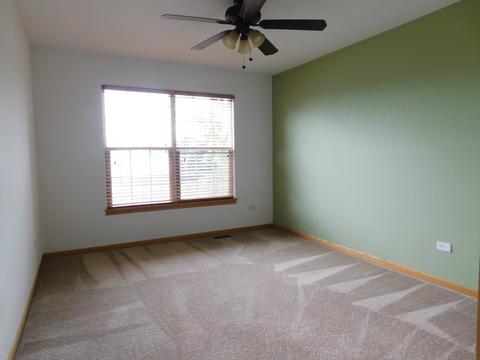 7505 Locust Ln, Plainfield, IL 60586 photo 20