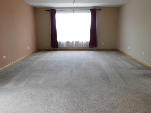 7505 Locust Ln, Plainfield, IL 60586 photo 26