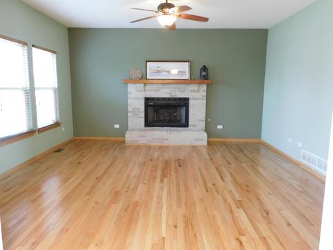 7505 Locust Ln, Plainfield, IL 60586 photo 15