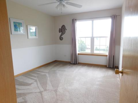 7505 Locust Ln, Plainfield, IL 60586 photo 19