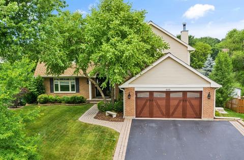 440 Flora Dr, Algonquin, IL 60102 photo 1