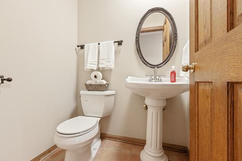 17056 Danielle Ct, Oak Forest, IL 60452 photo 17