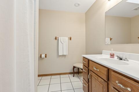 17056 Danielle Ct, Oak Forest, IL 60452 photo 25