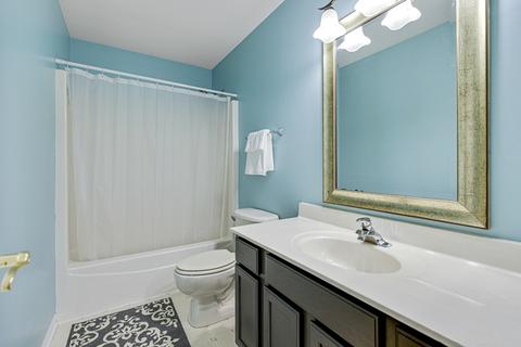 219 Gregory M Sears Dr, Gilberts, IL 60136 photo 20