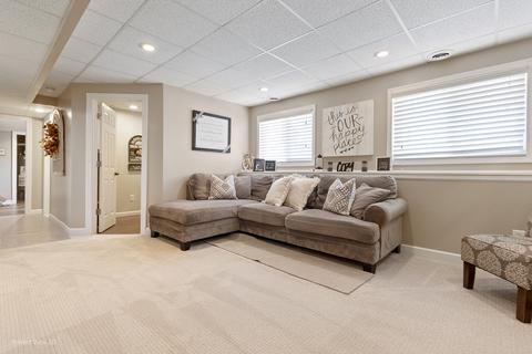 1404 Blackthorn Dr, Plainfield, IL 60586 photo 19